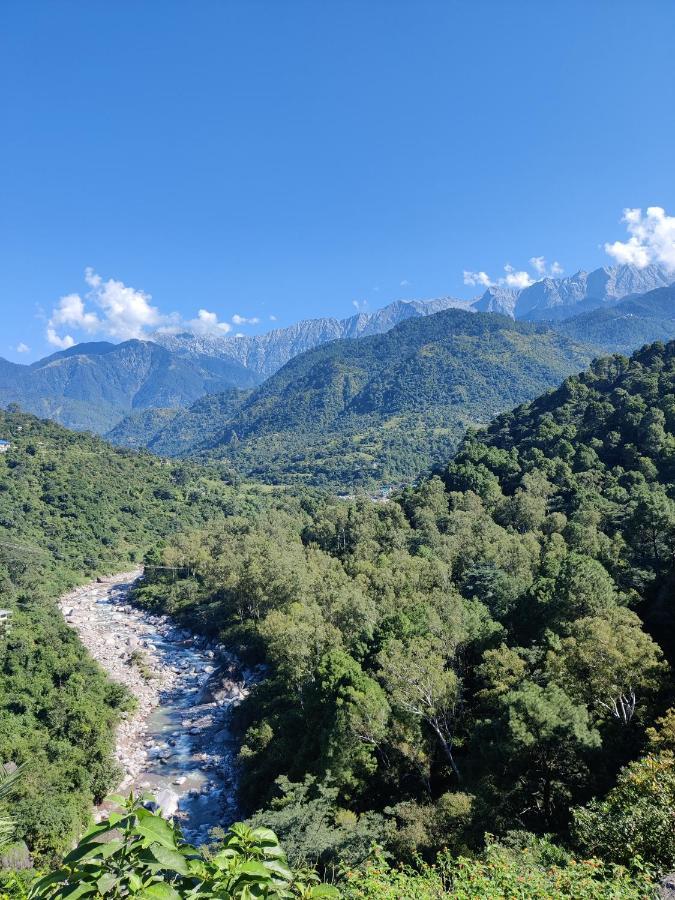 Dhauladhar View Village Resort Дармсала Экстерьер фото